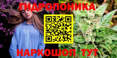 спиды Рузаевка