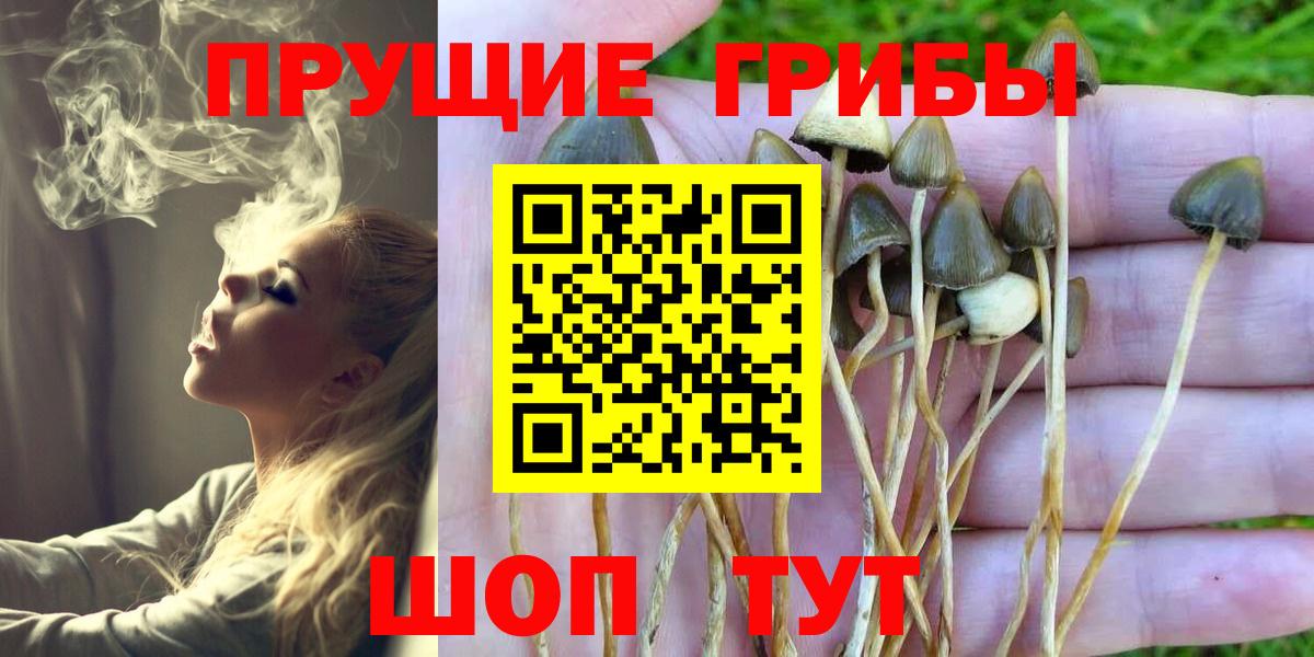 Галлюциногенные грибы прущие грибы Рассказово